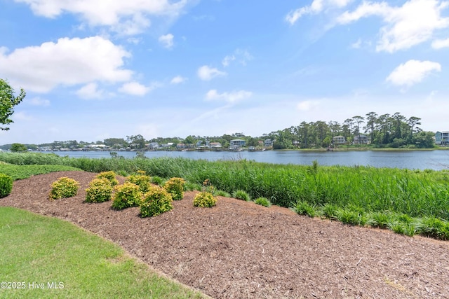 2821 Harborside Way, Southport, NC 28461 - water view