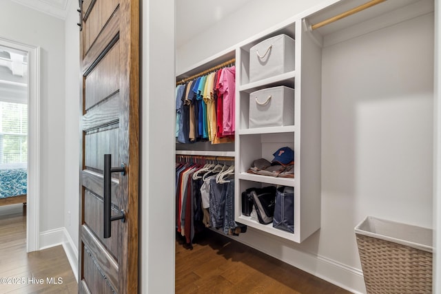 580 Jackline Dr, Hampstead, NC 28443 - spacious closet with wood finished floors