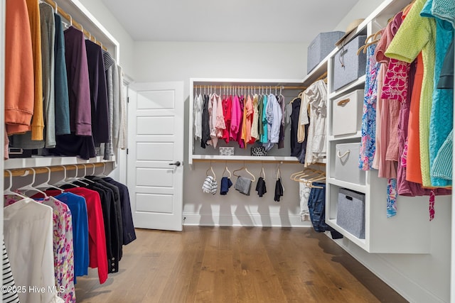 580 Jackline Dr, Hampstead, NC 28443 - spacious closet with wood finished floors