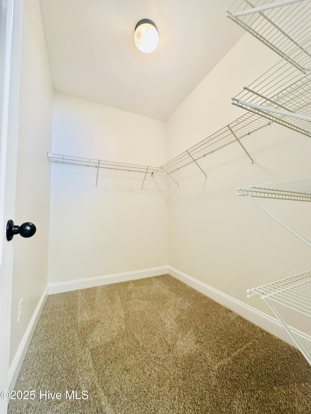 walk in closet with carpet