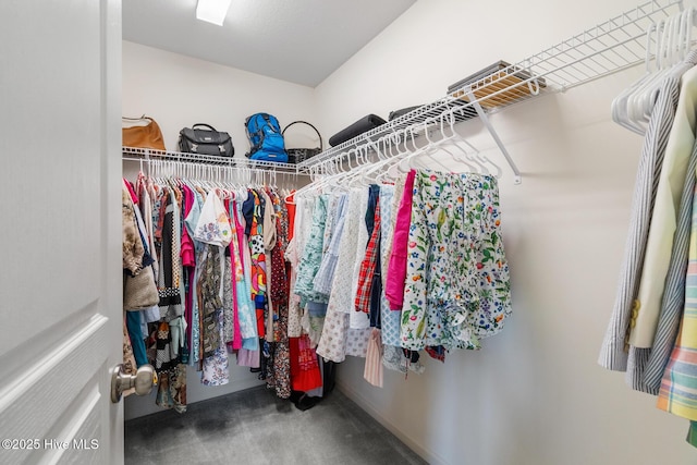 view of spacious closet