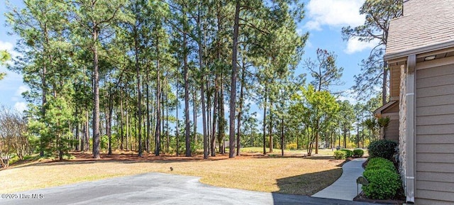 105 W Chelsea Ct, Southern Pines, NC 28387 - view of yard