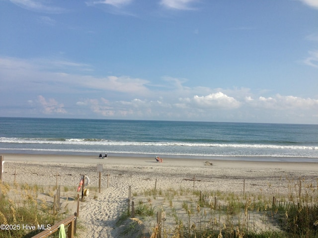 water view featuring a beach view