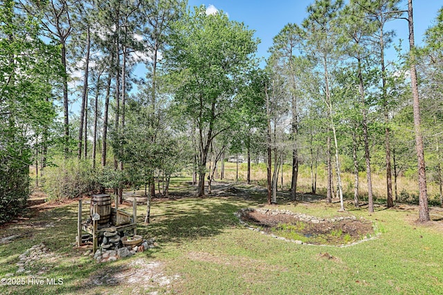 161 N Lake Dr, Boiling Spring Lakes, NC 28461 - view of yard