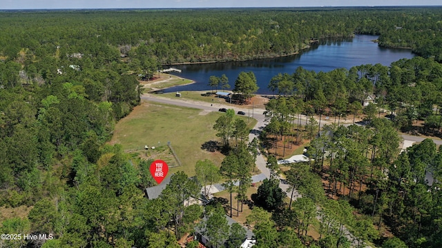 161 N Lake Dr, Boiling Spring Lakes, NC 28461 - bird's eye view with a water view and a view of trees