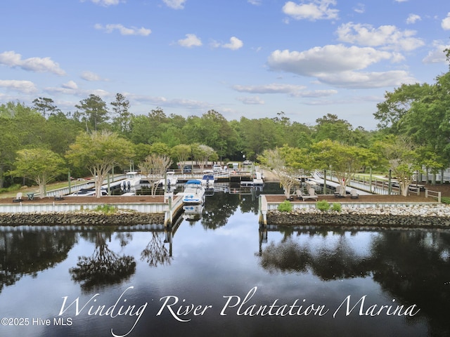 dock area featuring a water view