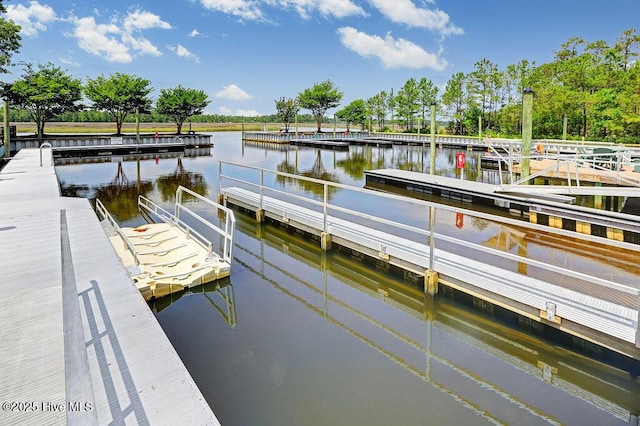 dock area with a water view