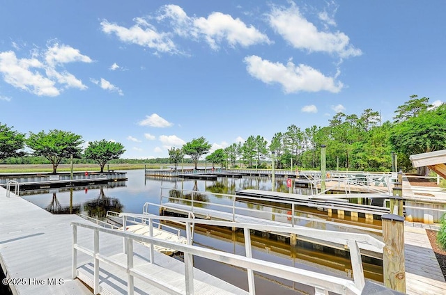 dock area with a water view