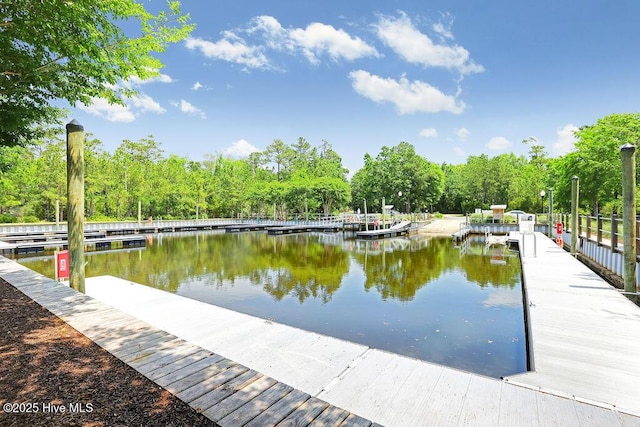 dock area featuring a water view
