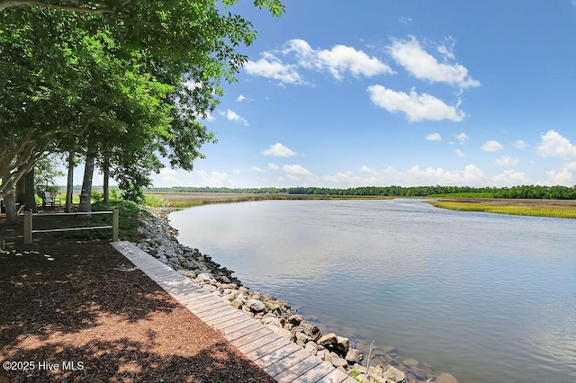 property view of water