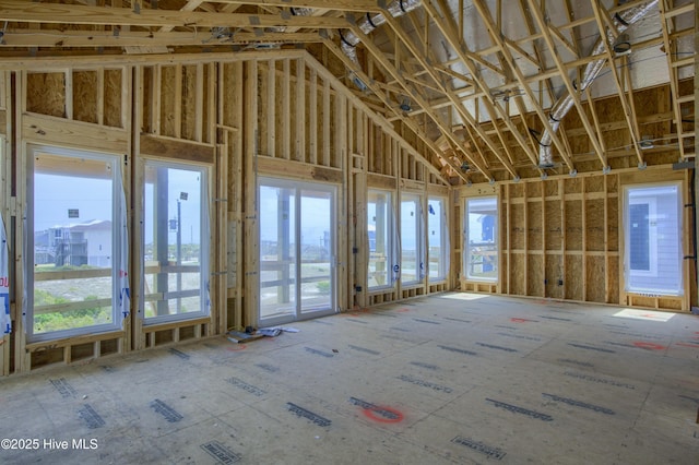 miscellaneous room featuring a wealth of natural light and lofted ceiling