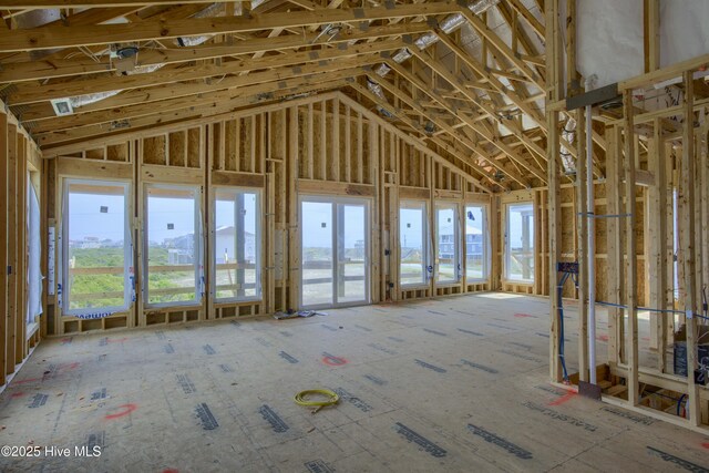 miscellaneous room with vaulted ceiling