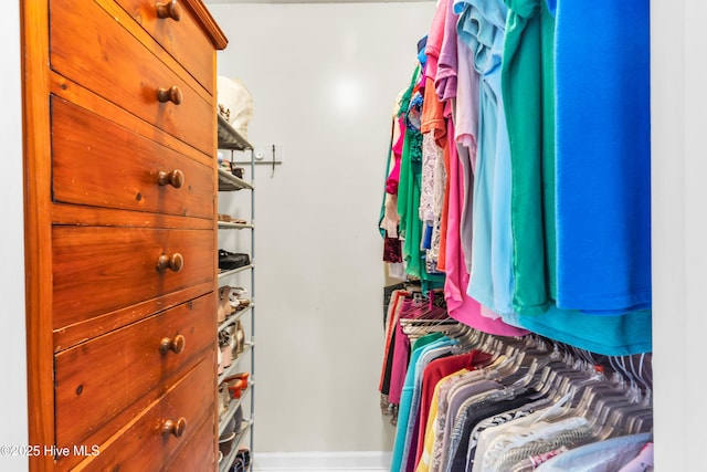 view of walk in closet