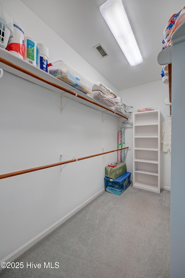 spacious closet featuring visible vents and carpet flooring