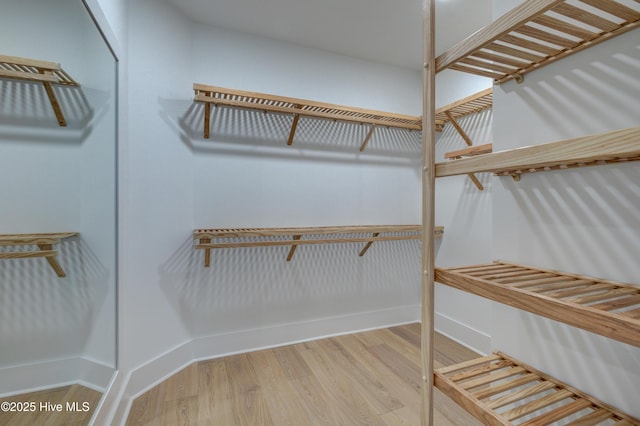 226 Bayfield Dr, Wilmington, NC 28411 - spacious closet with wood finished floors