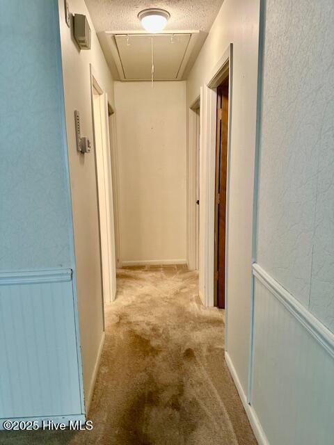corridor featuring a textured ceiling, attic access, carpet flooring, and wainscoting