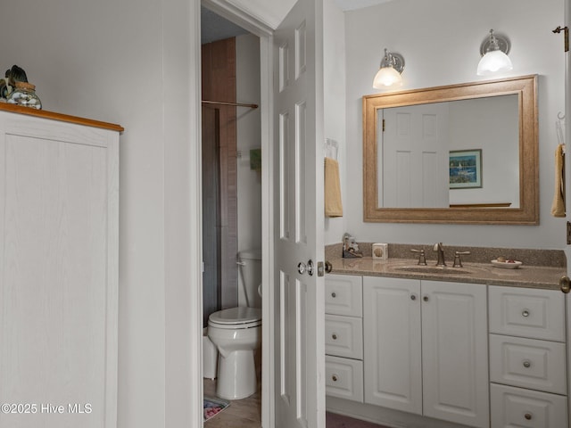 full bathroom with toilet and vanity