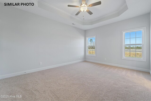 608 Indigo Johnston Dr, Jacksonville, NC 28546 - unfurnished room with crown molding, a tray ceiling, baseboards, and light colored carpet