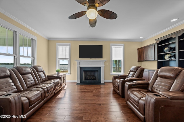 281 Whichard Ln, Chocowinity, NC 27817 - living area featuring ceiling fan, ornamental molding, dark wood-style floors, a fireplace with flush hearth, and healthy amount of natural light