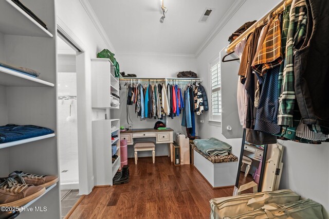 281 Whichard Ln, Chocowinity, NC 27817 - walk in closet featuring wood finished floors