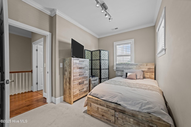 281 Whichard Ln, Chocowinity, NC 27817 - bedroom featuring crown molding, carpet, and track lighting