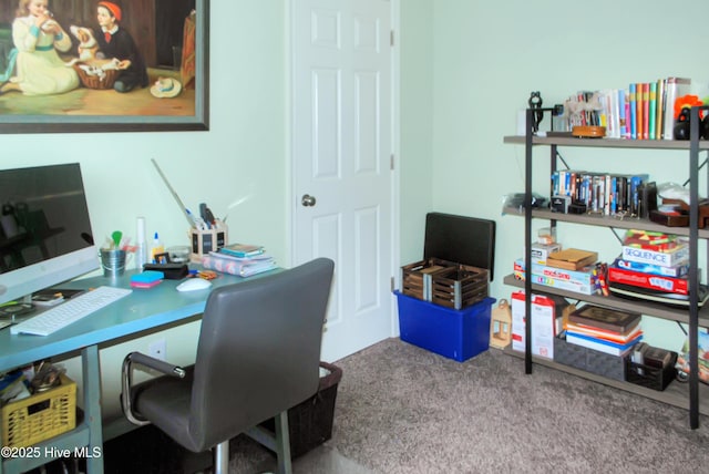 314 Nugget Trl, Elizabeth City, NC 27909 - office area featuring carpet