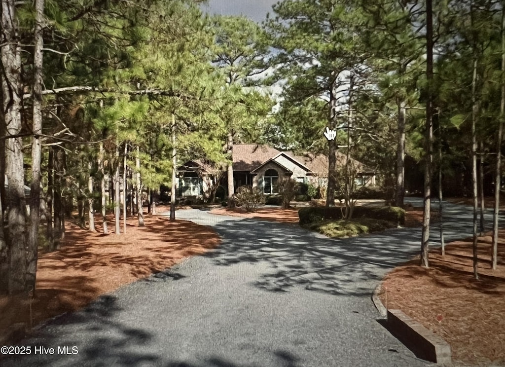 17 Windsong Pl, Whispering Pines, NC 28327 - view of front of home