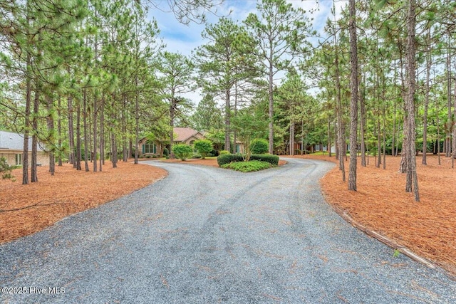 17 Windsong Pl, Whispering Pines, NC 28327 - view of dirt / gravel road