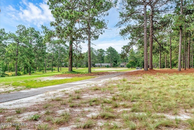 17 Windsong Pl, Whispering Pines, NC 28327 - view of street