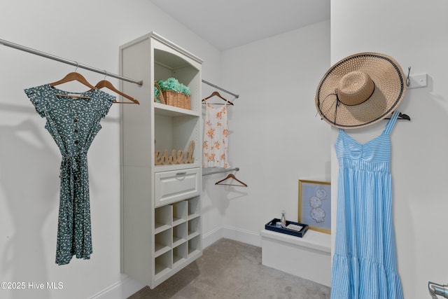 57 N Passerine Path, Hampstead, NC 28443 - spacious closet with light carpet