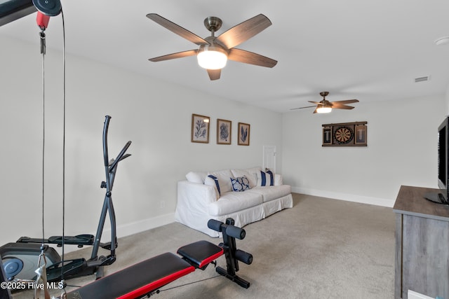 57 N Passerine Path, Hampstead, NC 28443 - exercise room featuring ceiling fan and carpet flooring