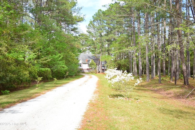 view of street with dirt driveway