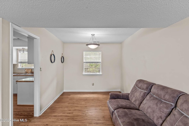 213 Spruce Ct, Jacksonville, NC 28546 - sitting room featuring wood finished floors, plenty of natural light, baseboards, and a textured ceiling