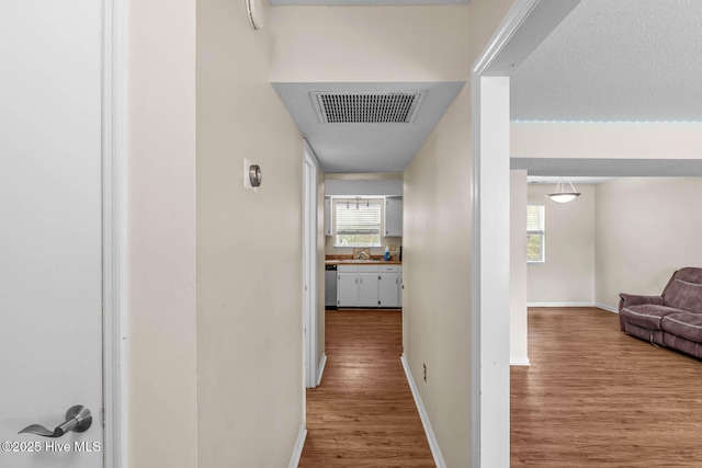 213 Spruce Ct, Jacksonville, NC 28546 - corridor with wood finished floors, baseboards, a sink, and healthy amount of natural light