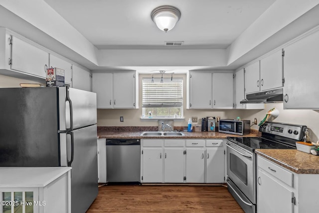 213 Spruce Ct, Jacksonville, NC 28546 - kitchen featuring appliances with stainless steel finishes, under cabinet range hood, a sink, and dark wood-style floors