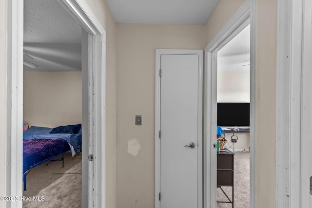 213 Spruce Ct, Jacksonville, NC 28546 - hallway featuring carpet