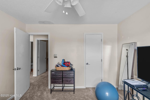 213 Spruce Ct, Jacksonville, NC 28546 - bedroom featuring carpet flooring and a ceiling fan