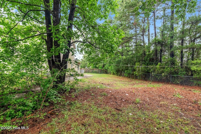 213 Spruce Ct, Jacksonville, NC 28546 - view of yard with fence