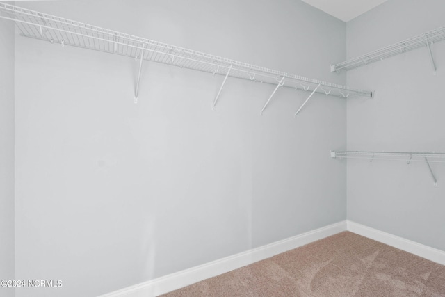 spacious closet with carpet floors