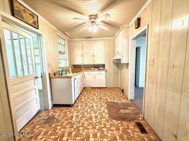clothes washing area with ceiling fan, wooden walls, and visible vents