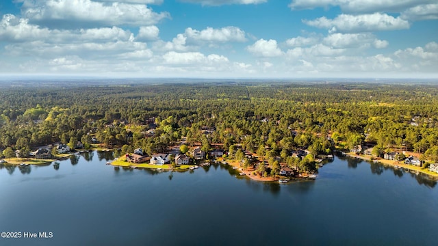 120 Clay Cir W, End, NC 27376 - birds eye view of property with a view of trees and a water view