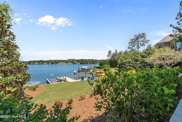 120 Clay Cir W, End, NC 27376 - dock area with a lawn, a water view, and boat lift