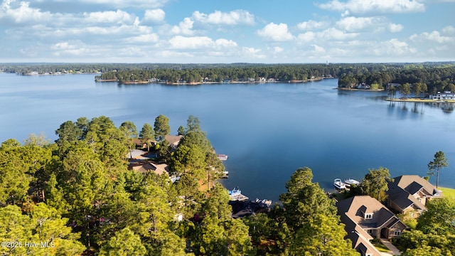 120 Clay Cir W, End, NC 27376 - bird's eye view with a view of trees and a water view