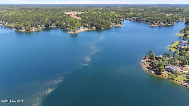 120 Clay Cir W, End, NC 27376 - birds eye view of property featuring a water view and a wooded view