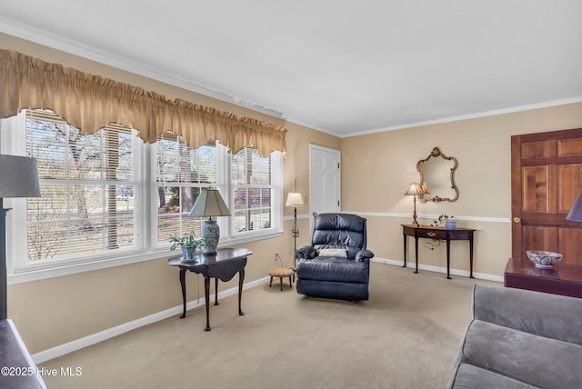 living area featuring crown molding, carpet flooring, and baseboards