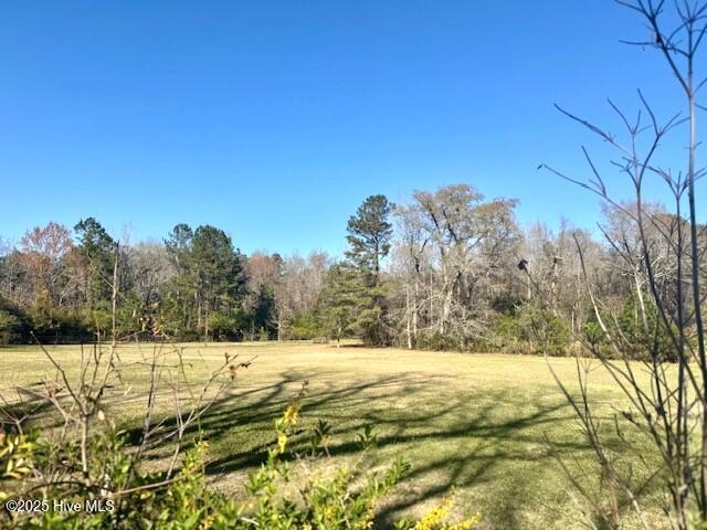 1885 NC-306, Grantsboro, NC 28529 - view of green lawn featuring a wooded view