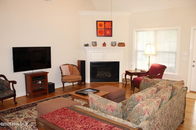 living room with a glass covered fireplace, wood finished floors, and baseboards