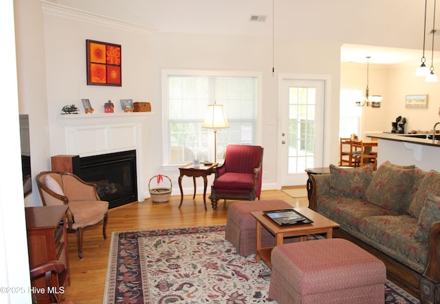 living room with a glass covered fireplace, light wood-type flooring, visible vents, and crown molding