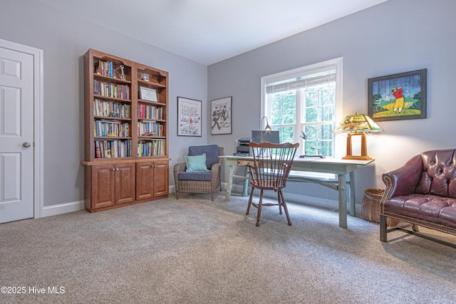 carpeted office with baseboards