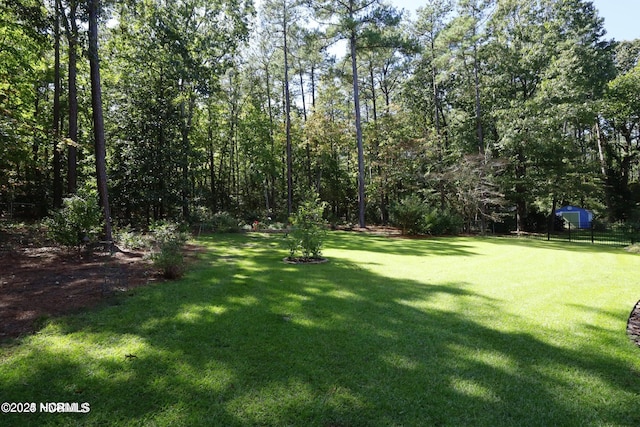 view of green lawn
